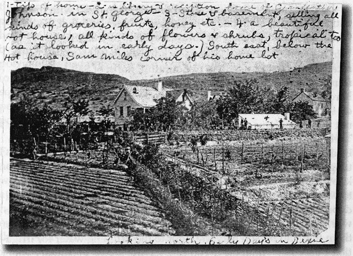 Fig. 9. Joseph E. Johnson’s crowded lot, c. 1880, reflects
				his busy life as apiarist, horticulturist, librarian, merchant,
				printer, etc.